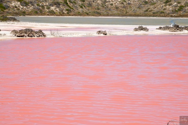 AustraliaPerth 10  085